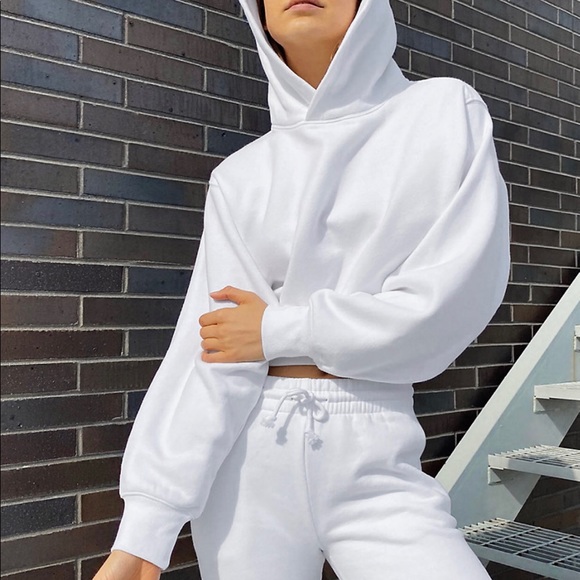 Aritzia Cozyaf Perfect Shrunken Hoodie 